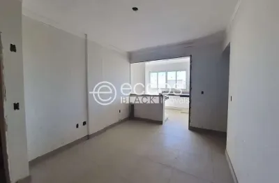 Apartamento à venda, 3 quartos, 1 suíte, 1 vaga, novo mundo - uberlândia/mg