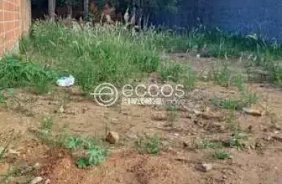 Terreno à venda na Rua Ana Batista, Vieno, Araguari