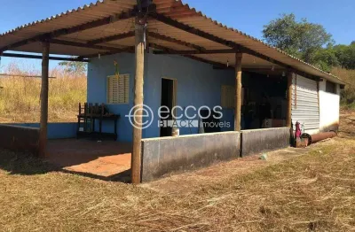 Chácara / sítio à venda na Área Rural, 74, Área Rural de Uberlândia, Uberlândia
