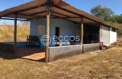Chácara / sítio à venda na Área Rural, 74, Área Rural de Uberlândia, Uberlândia