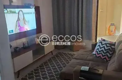 Casa com 2 quartos à venda na Rua André Fernandes Dos Reis, 190, Vieno, Araguari
