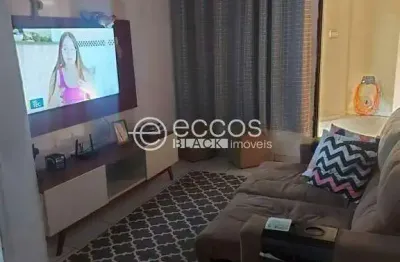 Casa com 2 quartos à venda na Rua André Fernandes Dos Reis, 190, Vieno, Araguari