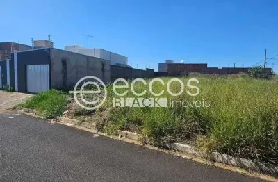 Terreno à venda na Rua Estácio de Sá, 101, Miranda, Araguari