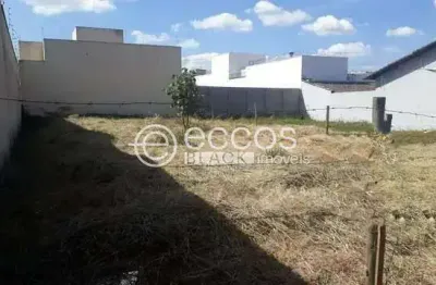 Terreno à venda na Rua João Hortêncio, 94, Alto Umuarama, Uberlândia