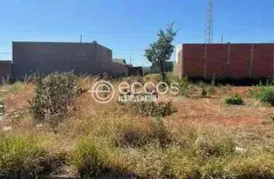 Terreno à venda na Rua Ruth Rocha, Minas Gerais, Uberlândia