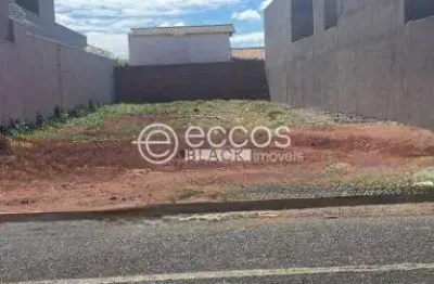 Terreno à venda na Rua Hermogênio Dorázio, Interlagos, Araguari