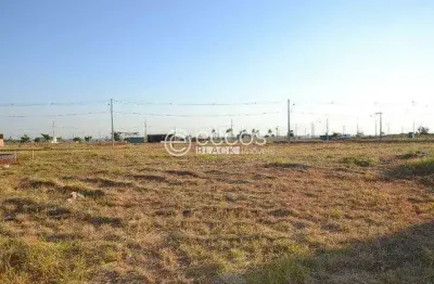 Terreno à venda na Avenida Multicor, Alto Umuarama, Uberlândia