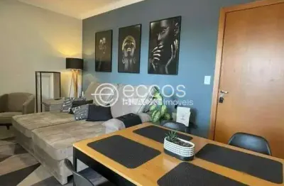 Apartamento à venda, 2 quartos, 2 vagas, pampulha - uberlândia/mg