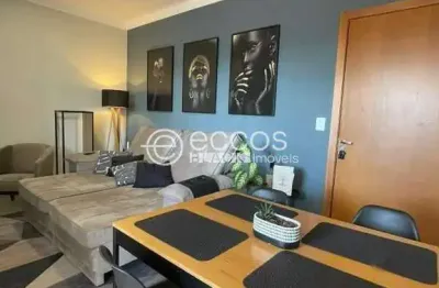Apartamento à venda, 2 quartos, 2 vagas, pampulha - uberlândia/mg