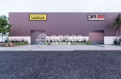 Galpão para aluguel, loteamento centro empresarial leste ii - uberlândia/mg