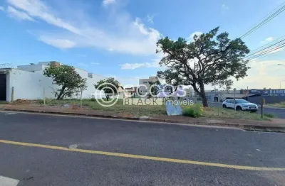 Terreno à venda na Avenida Palmeira Imperial, Bosque dos Buritis, Uberlândia