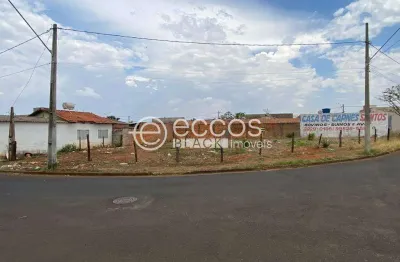 Terreno à venda na Rua das Orquídeas, 87, Jardim Célia, Uberlândia