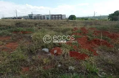 Terreno à venda na Rua Walter Marques, 96, Sibipiruna, Araguari