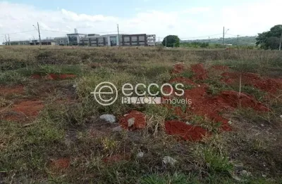 Terreno à venda na Rua Walter Marques, 96, Sibipiruna, Araguari