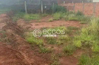Terreno à venda na Rua Antônio Pereira Neto, 60, Jardim Milenium, Araguari