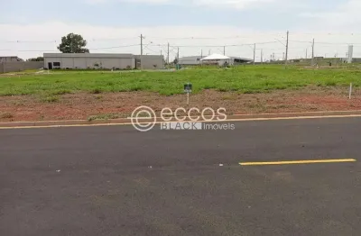Terreno à venda na Avenida Teodoreto Veloso de Carvalho, 3772, Paineiras, Araguari