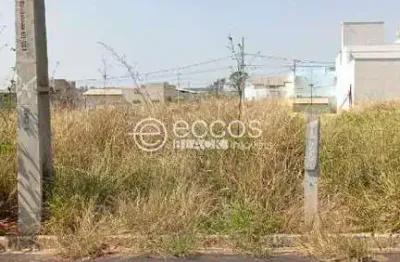 Terreno à venda na Rua Antônio dos Santos Ribeiro de Carvalho, Interlagos, Araguari