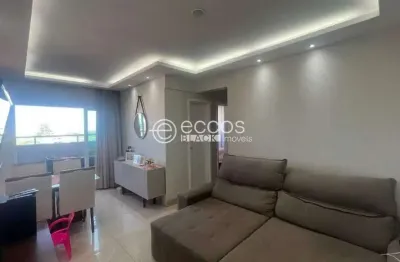 Apartamento à venda, 2 quartos, 1 suíte, 2 vagas, novo mundo - uberlândia/mg