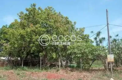 Chácara à venda, 3 quartos, parque das andorinhas - uberlândia/mg