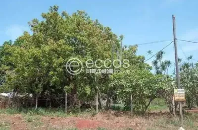 Chácara à venda, 3 quartos, parque das andorinhas - uberlândia/mg