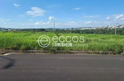 Terreno à venda na Alameda Dos Jurunas Lot. Verde Umuarama, Aclimação, Uberlândia