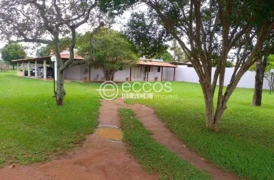 Chácara à venda, 3 quartos, 1 suíte, panorama - uberlândia/mg