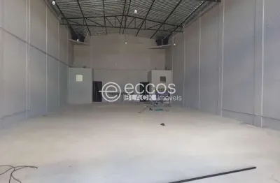 Galpão à venda, 4 vagas, jardim holanda - uberlândia/mg