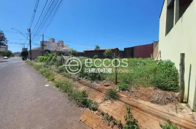 Terreno à venda na Rua Antônio Marciano de Ávila, 89, Santa Mônica, Uberlândia