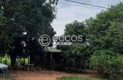 Chácara à venda, 4 quartos, área rural de uberlândia - uberlândia/mg