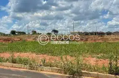 Terreno à venda na Rua Idalina Francisca Da Silva Lot. Mansour Iii, 99, Mansour III, Uberlândia