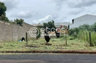 Terreno à venda na Rua Marginal, 107, Shopping Park, Uberlândia