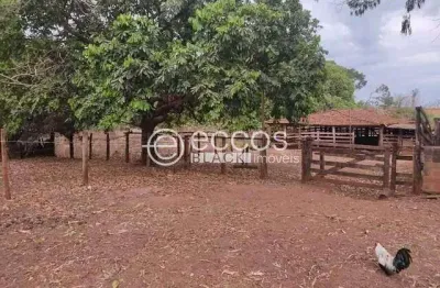 Chácara / sítio com 4 quartos à venda na Área Rural, Miraporanga, Uberlândia