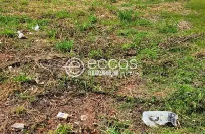Terreno em condomínio à venda, alto umuarama - uberlândia/mg