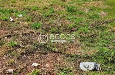 Terreno em condomínio à venda, alto umuarama - uberlândia/mg