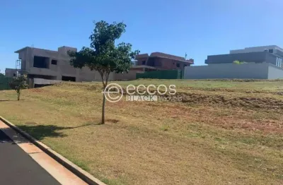 Terreno em condomínio à venda, granja marileusa - uberlândia/mg
