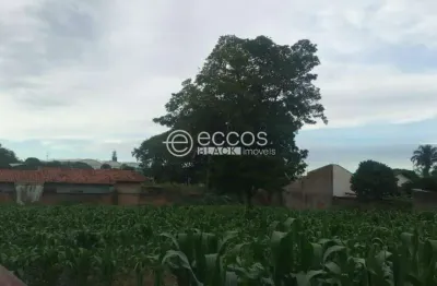 Terreno à venda na Rua Jornalista João Lourenço, Centro, Araguari