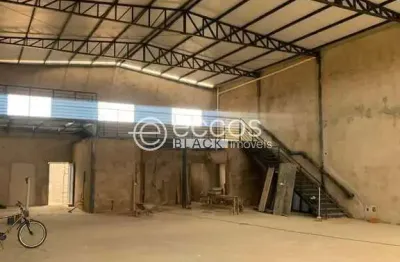 Barracão / Galpão / Depósito para alugar na Avenida Segismundo Pereira, Novo Mundo, Uberlândia