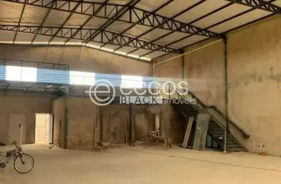 Barracão / Galpão / Depósito para alugar na Avenida Segismundo Pereira, 5573, Novo Mundo, Uberlândia