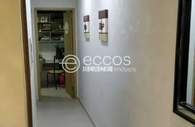 Apartamento à venda, 2 quartos, 1 suíte, 2 vagas, aclimação - uberlândia/mg