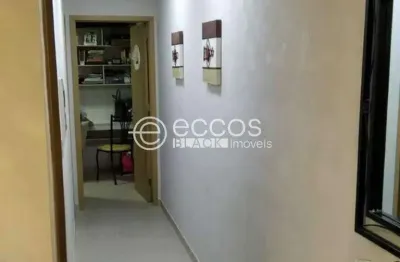 Apartamento à venda, 2 quartos, 1 suíte, 2 vagas, aclimação - uberlândia/mg