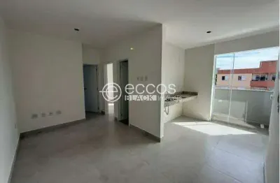 Apartamento à venda, 2 quartos, 1 suíte, 1 vaga, santa mônica - uberlândia/mg