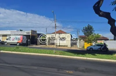 Casa com 3 quartos à venda na Avenida Raulino Cotta Pacheco, Martins, Uberlândia