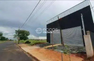 Barracão / Galpão / Depósito para alugar na Avenida Serra Bodoquena, 1685, São Jorge, Uberlândia