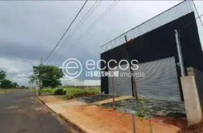 Barracão / Galpão / Depósito para alugar na Avenida Serra Bodoquena, 1685, São Jorge, Uberlândia