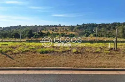 Terreno em condomínio à venda, granja marileusa - uberlândia/mg