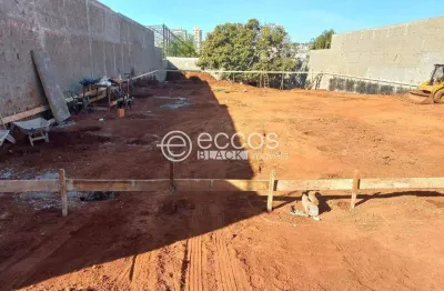 Terreno à venda na Rua das Andorinhas, Cidade Jardim, Uberlândia