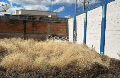 Sala comercial para alugar na Rua Olegário Maciel, Centro, Araguari