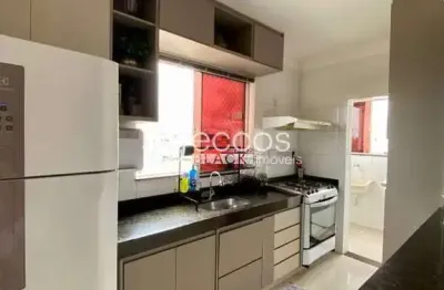 Apartamento à venda, 2 quartos, 1 suíte, 2 vagas, novo mundo - uberlândia/mg
