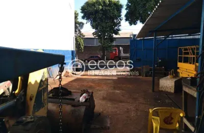 Barracão / Galpão / Depósito para alugar na Avenida Franca, Tibery, Uberlândia