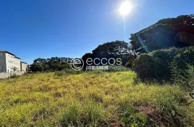 Terreno à venda na Rua Antônio Domingues, Chácaras Tubalina e Quartel, Uberlândia